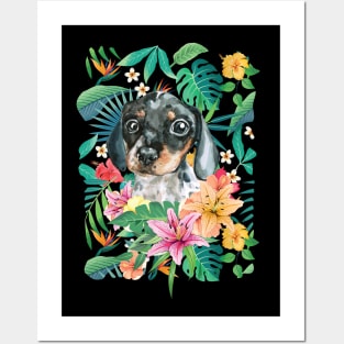 Tropical White Black Tan Piebald Dachshund Doxie 1 Posters and Art